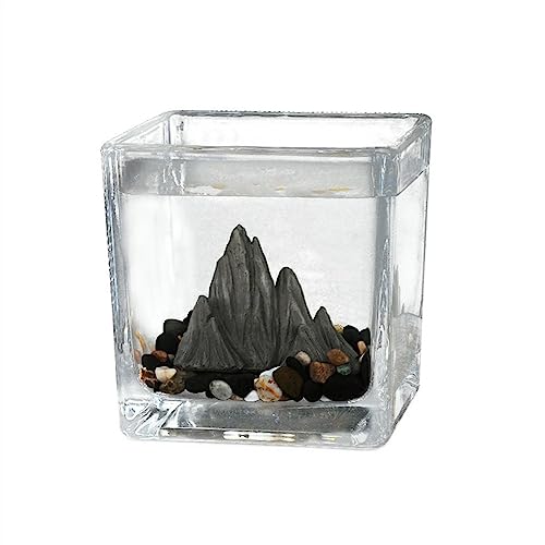 Aquarium Kleines Aquarium, Desktop-Quadrat-Aquarium, ökologische Mikrolandschaft, Gästezimmer, Büro, kleine Ornamente, Teetasse, Glaslandschaft, Gitter-Aquarium Fischtank (Size : Small) von WAOCEO