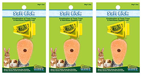 WARE MANUFACTURING Salzlecken für Kleintiere, Karottensalz, 3 Stück von Ware Manufacturing