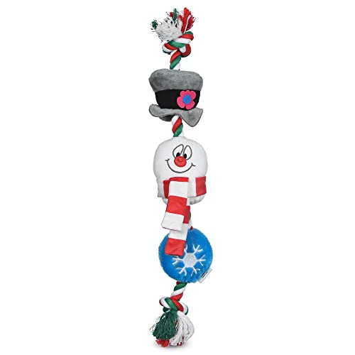 Frosty The Snowman Hundespielzeug aus Plüsch und Seil, 35,6 cm | Quietschendes Plüschtier für Hunde, Seilzugspielzeug für Hunde | Offizielles Lizenzprodukt für Hunde und Haustierstrumpffüller von WARNER BROS