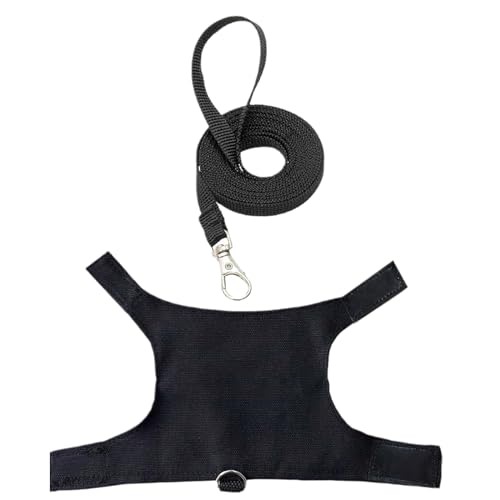 WATERBELINE Zuverlässigkeit Brust Set Eidechsen Reptilien Outdoor Gehgeschirr Buchstabenaufdruck Reptilien Kriechen WATERBELINE Zuverlässigkeit Brust Set Eidechsen Reptilien Outdoor Gehgeschirr Buchstabenaufdruck Reptilien Kriechen von WATERBELINE