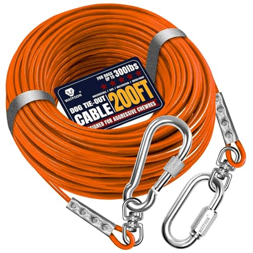 Auslaufseil für Hunde bis zu 136 kg, 61 m, extra stark, 453,6 kg, Bruchfestigkeit, Spanngurt, Trolley, Trainingsleine, Hunde-Laufkabel für Hof, Garten, Park, Camping, draußen (Orange, 136 kg, 61 m) Auslaufseil für Hunde bis zu 136 kg, 61 m, extra stark, 453,6 kg, Bruchfestigkeit, Spanngurt, Trolley, Trainingsleine, Hunde-Laufkabel für Hof, Garten, Park, Camping, draußen (Orange, 136 kg, 61 m) von WATFOON