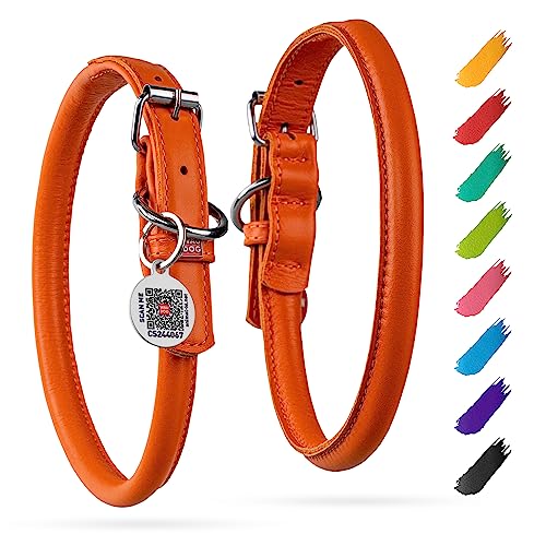 Leder Hundehalsband Rund Verstellbares Hundehalsband Große Hunde Leder Hundehalsband für Mittlere Hunde - Hundehalsband Leder Kleine Hunde & Welpen Halsbänder - Digitale Hundemarke von WAUDOG