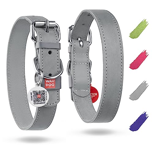 Hundehalsband, klassisch, 35 mm breit, 46–60 cm Länge, Grau Hundehalsband, klassisch, 35 mm breit, 46–60 cm Länge, Grau von WAUDOG