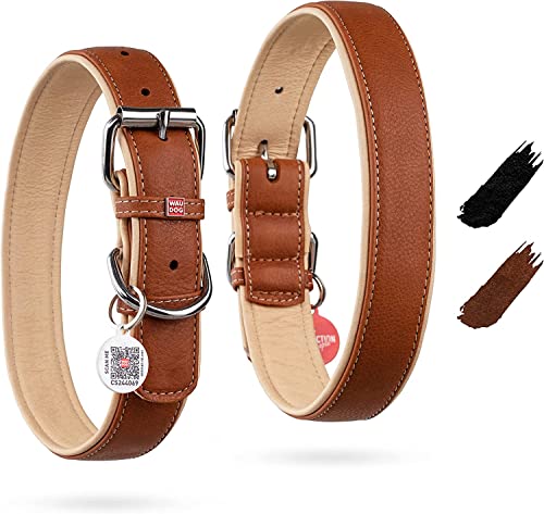WAUDOG Hundehalsband Leder Hundehalsband Große Hunde & Hundehalsband Mittelgroße Hunde - Halsband Hund Klein Welpen Halsbänder Leder Halsband Hund Leder Weich - Digitale Hundemarke von WAUDOG
