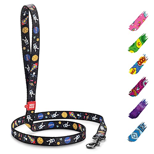 WAUDOG Nylon Hundeleine für Große, Mittelgroße und Kleine Hunde, Welpen - Schleppleine WAUDOG Nylon Hundeleine für Große, Mittelgroße und Kleine Hunde, Welpen - Schleppleine von WAUDOG