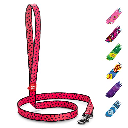 WAUDOG Nylon Hundeleine für Große, Mittelgroße und Kleinere Hunde, Welpen - Schleppleine von WAUDOG
