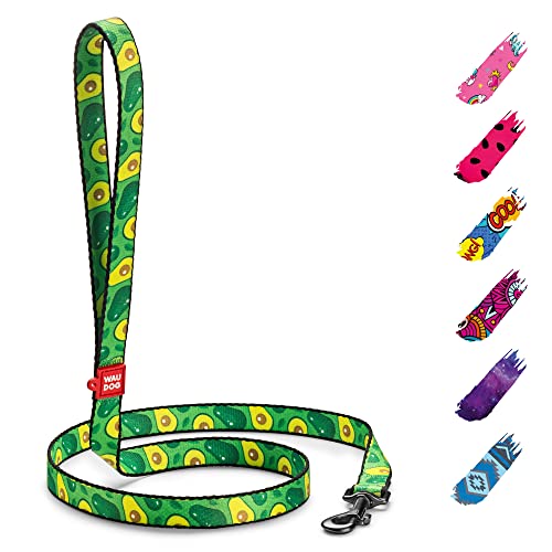 WAUDOG Nylon Hundeleine für Große, Mittelgroße und Kleinere Hunde, Welpen - Schleppleine von WAUDOG