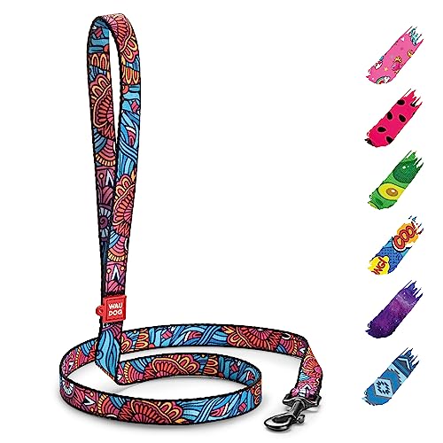 WAUDOG Nylon Hundeleine für Große, Mittelgroße und Kleinere Hunde, Welpen - Schleppleine von WAUDOG