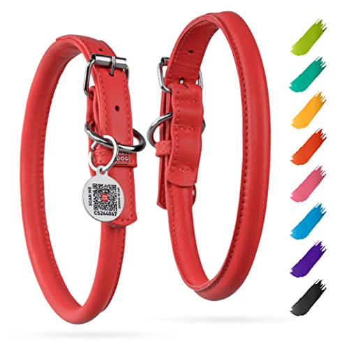 Leder Hundehalsband Rund Verstellbar für Große, Mittlere, Kleine Hunde & Welpen - Digitale Hundemarke von WAUDOG