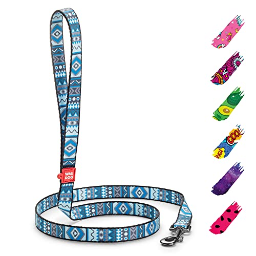 WAUDOG Nylon Hundeleine für Große, Mittelgroße und Kleinere Hunde, Welpen - Schleppleine WAUDOG Nylon Hundeleine für Große, Mittelgroße und Kleinere Hunde, Welpen - Schleppleine von WAUDOG