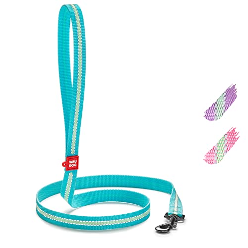 WAUDOG Nylon Glow Reflektierende Hundeleine Große Hunde, Hundeleine Mittelgroße Hunde Leine für Kleinere Hunde Welpen Leine Hund, Hundeleine Nylon Leinen für Hunde Schleppleine Hund WAUDOG Nylon Glow Reflektierende Hundeleine Große Hunde, Hundeleine Mittelgroße Hunde Leine für Kleinere Hunde Welpen Leine Hund, Hundeleine Nylon Leinen für Hunde Schleppleine Hund von WAUDOG