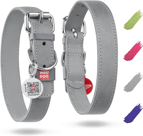WAUDOG Verstellbares Hundehalsband Leder - Großer Hund, Mittelgroßer Hund, Kleiner Hund - Grau - 21-29 cm Länge, 12 mm Breite von WAUDOG