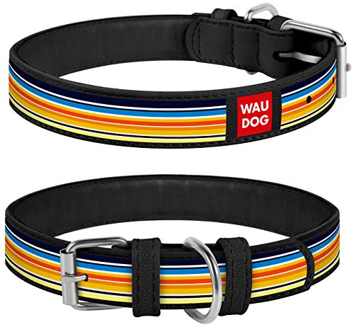 WAUDOG Design Leather Dog Collar for Puppy Small Medium and Large Dogs Lines 2 - Boy & Girl Leather Dog Collar - Leather Buckle Dog Collar (30-39 cm Neck * 20 mm Wide, Black) von WAUDOG