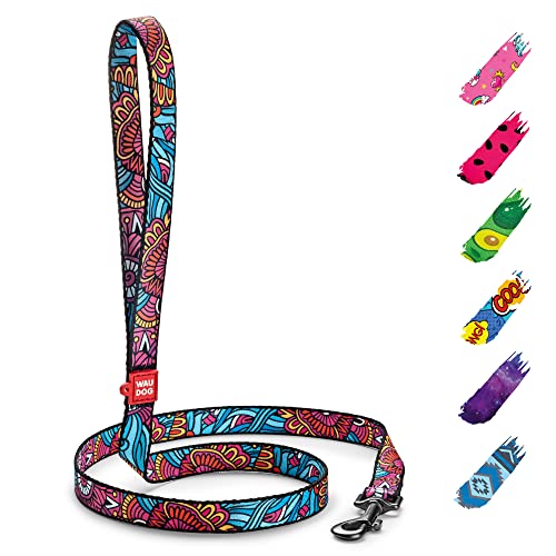 WAUDOG Nylon Leine Hund Große Hunde, Hundeleine Mittelgroße Hunde Leine für Kleinere Hunde, Hundeleine für Welpen, Hundeleine Nylon, Leinen für Hunde Schleppleine Hund WAUDOG Nylon Leine Hund Große Hunde, Hundeleine Mittelgroße Hunde Leine für Kleinere Hunde, Hundeleine für Welpen, Hundeleine Nylon, Leinen für Hunde Schleppleine Hund von WAUDOG