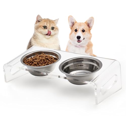 Gekippter, erhöhter Futter- und Wassernapfständer für Katzen oder kleine Hunde - Welpenhalter aus klarem Acryl-Edelstahl mit 2 Näpfen für Jungen oder Mädchen von WBhonghui Gekippter, erhöhter Futter- und Wassernapfständer für Katzen oder kleine Hunde - Welpenhalter aus klarem Acryl-Edelstahl mit 2 Näpfen für Jungen oder Mädchen von WBhonghui von WBHONGHUI