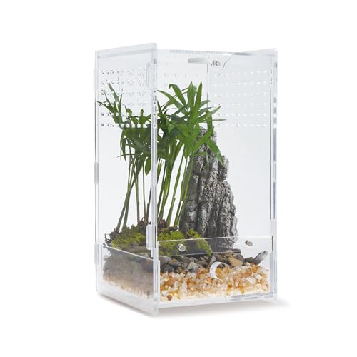 WBHONGHUI Transparentes Terrarium für Reptilien, Acryl, mit Riegel, perfekt für Amphibien und Wirbellose wie Spinnen, Frösche usw., Größe x x Zoll, horizontal oder vertikal von WBHONGHUI