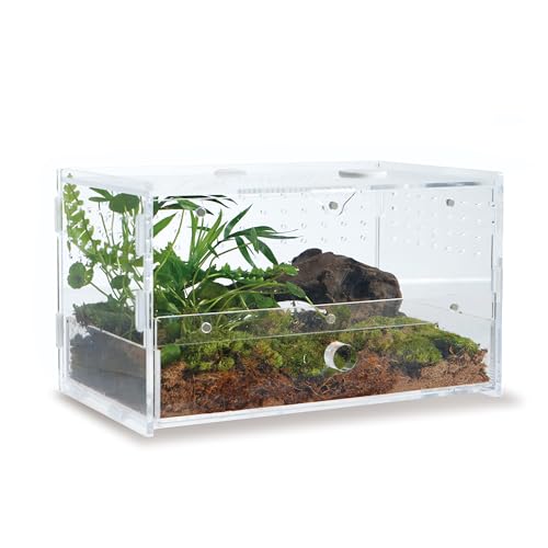 WBHONGHUI Transparentes Terrarium für Reptilien, Acryl, mit Riegel, perfekt für Amphibien und Wirbellose wie Spinnen, Frösche usw., Größe x x Zoll, horizontal oder vertikal von WBHONGHUI