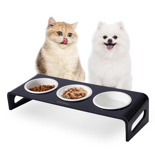 WBhonghui Futter- und Wassernapfständer für Katzen oder kleine Hunde, geneigter erhöhter Futternapf, aus transparentem Acryl, Edelstahl, für 3 Schalen für Jungen oder Mädchen, Schwarz, 3 Schalen WBhonghui Futter- und Wassernapfständer für Katzen oder kleine Hunde, geneigter erhöhter Futternapf, aus transparentem Acryl, Edelstahl, für 3 Schalen für Jungen oder Mädchen, Schwarz, 3 Schalen von WBHONGHUI