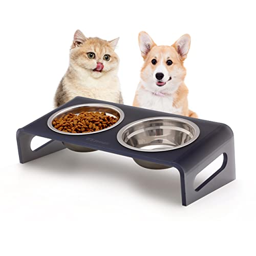WBhonghui Futter- und Wassernapfständer für Katzen oder kleine Hunde, geneigter erhöhter Futternapf, aus transparentem Acryl, Edelstahl, für Jungen oder Mädchen, modern, langlebig und leicht zu WBhonghui Futter- und Wassernapfständer für Katzen oder kleine Hunde, geneigter erhöhter Futternapf, aus transparentem Acryl, Edelstahl, für Jungen oder Mädchen, modern, langlebig und leicht zu von WBHONGHUI