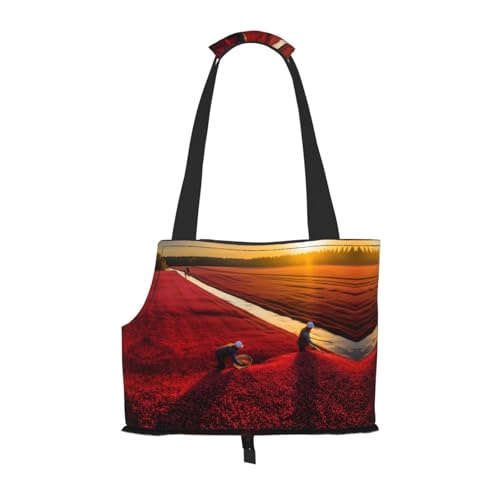 Lycopin Muster Haustier Ausgehen Tasche - Leichte Reise Katze Tasche Atmungsaktive Umhängetasche für kleine Hunde Lycopin Muster Haustier Ausgehen Tasche - Leichte Reise Katze Tasche Atmungsaktive Umhängetasche für kleine Hunde von WBQLSL