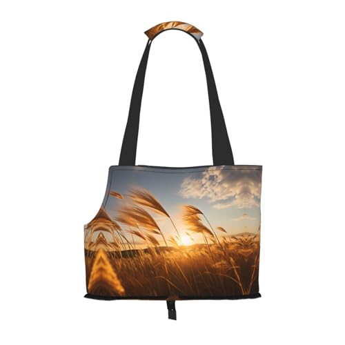 Reeds in the Wind Pattern Pet Ausgehen Tasche – leichte Reise-Katzentasche, atmungsaktive Umhängetasche für kleine Hunde Reeds in the Wind Pattern Pet Ausgehen Tasche – leichte Reise-Katzentasche, atmungsaktive Umhängetasche für kleine Hunde von WBQLSL