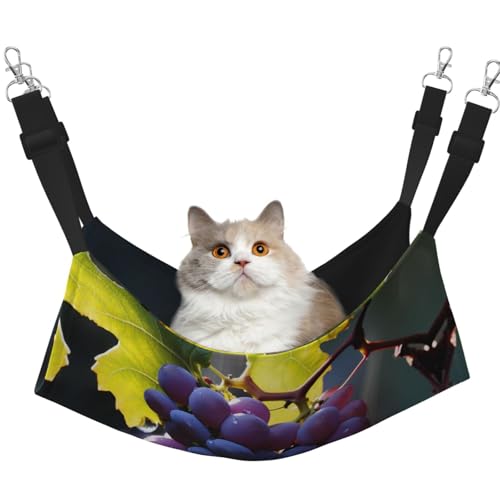 WBQLSL Crystal Clear Grapes Medium bedruckte Haustierhängematte – Schlafhängematte für Katzen, Frettchen, Welpen, Kaninchen, Kleintiere WBQLSL Crystal Clear Grapes Medium bedruckte Haustierhängematte – Schlafhängematte für Katzen, Frettchen, Welpen, Kaninchen, Kleintiere von WBQLSL