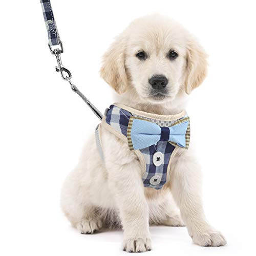 Hundegeschirr Weste Katzengeschirr Air Mesh Hundeweste Harness Weich Komfortable Verstellbar Sicher Kontrolle Welpengeschirr Hunde Laufgeschirre für kleine mittelgroße Hunde und Katzen(S) von WBYJ