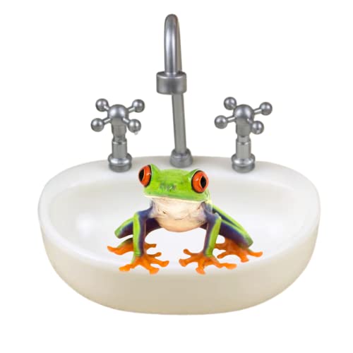 Neuheit Baumfrosch Tank Zubehör Kröte Lebensraum Dekoration Kunststoff Reptilien Wasser- und Futternapf für Amphibien Wasserfrosch Eidechse Leopard Gecko Einsiedlerkrebse Maisschlange Spinne Skorpion Neuheit Baumfrosch Tank Zubehör Kröte Lebensraum Dekoration Kunststoff Reptilien Wasser- und Futternapf für Amphibien Wasserfrosch Eidechse Leopard Gecko Einsiedlerkrebse Maisschlange Spinne Skorpion von WCDJOMOP