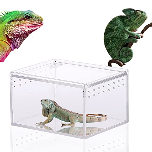 Transparent Reptilienzuchtbox, Reptil Terrarium Box, Transparent Acryl Reptilienzuchtbox, Reptil Fütterungsbox, Transparente Reptilienbox, für Spide, Eidechse, Skorpion, Tausendfüßler (10.3x8.3x6CM) von CaiYuanGJ