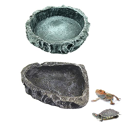 CaiYuanGJ 2 STÜCKE Reptilien Feeder, Reptile Näpfe, Reptilienschildkröte Wasserschale, Reptilienschale, Food Bowl Feeder für Amphibien, für Schildkrötenechsen Chamäleon Leguan (Grün und Schwarz) von CaiYuanGJ