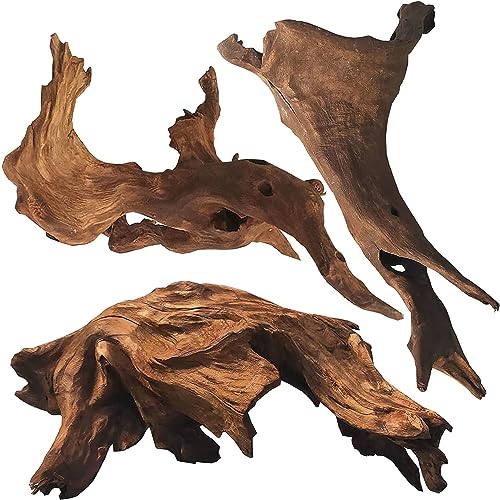 WDEFUN Natürliches Treibholz für Aquarium-Dekoration, 17,8 - 27,9 cm, verschiedene Zweige, Dekorationen auf Reptilien-Aquarium, 3 Stück von WDEFUN