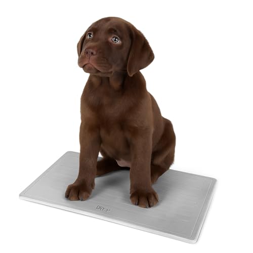 Trainingsunterlage Hund - 48 x 0,9 x 32,5 cm - Hundetoilette Toilettentraining - Toilettentraining - Welpentrainingsmatte - Hundetrainingsunterlage - Grau Trainingsunterlage Hund - 48 x 0,9 x 32,5 cm - Hundetoilette Toilettentraining - Toilettentraining - Welpentrainingsmatte - Hundetrainingsunterlage - Grau von WDMT