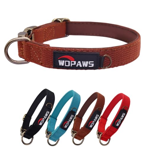 WDPAWS Hundehalsband, Polyester-Baumwoll-Gurtband mit Neopren-Innenseite, Schnellverschluss, bronzefarbene Schnalle für kleine, mittelgroße Hunde (Braun, M) von WDPAWS