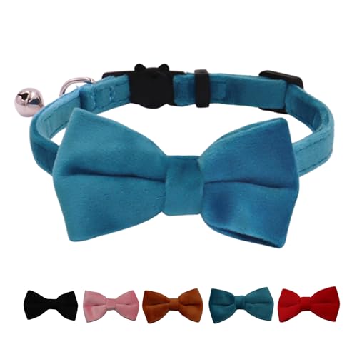 WDPAWS Katzenhalsband mit Glöckchen und abnehmbarer Fliege, Sicherheitsschnalle, Samt, verstellbar, 17,8–27,9 cm, für Kätzchen, Katzen, Blau WDPAWS Katzenhalsband mit Glöckchen und abnehmbarer Fliege, Sicherheitsschnalle, Samt, verstellbar, 17,8–27,9 cm, für Kätzchen, Katzen, Blau von WDPAWS