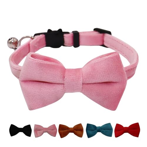 WDPAWS Katzenhalsband mit Glöckchen und abnehmbarer Fliege, Sicherheitsschnalle, Samt, verstellbar, 17,8–27,9 cm, für Kätzchen, Katzen, Rosa WDPAWS Katzenhalsband mit Glöckchen und abnehmbarer Fliege, Sicherheitsschnalle, Samt, verstellbar, 17,8–27,9 cm, für Kätzchen, Katzen, Rosa von WDPAWS