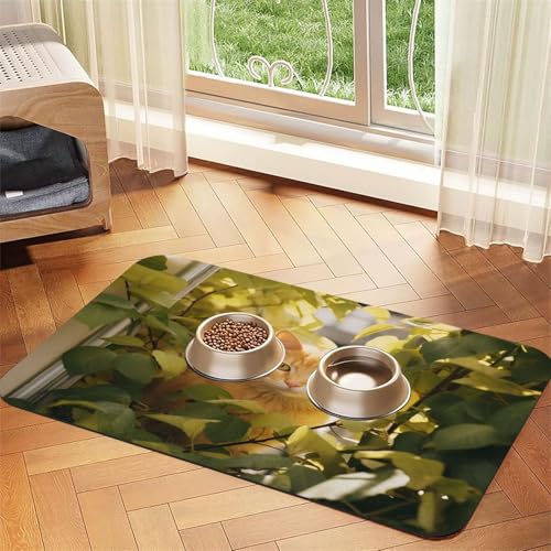 A Orange Katzen-Haustierfuttermatte, 60 x 40 cm, saugfähig, rutschfest, PU-Leder, Futtermatte für Hunde und Katzen, Gummi-Unterseite, schnell trocknend, rollbar, Platzdeckchen A Orange Katzen-Haustierfuttermatte, 60 x 40 cm, saugfähig, rutschfest, PU-Leder, Futtermatte für Hunde und Katzen, Gummi-Unterseite, schnell trocknend, rollbar, Platzdeckchen von WDXQHY
