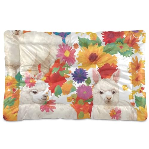 WDdZzyy Alpaka-Blumen-Wasserfarben-Matratze, waschbar, rutschfest, weich, bequem, für mittelgroße und große Hunde, 91,4 x 61 cm WDdZzyy Alpaka-Blumen-Wasserfarben-Matratze, waschbar, rutschfest, weich, bequem, für mittelgroße und große Hunde, 91,4 x 61 cm von WDdZzyy