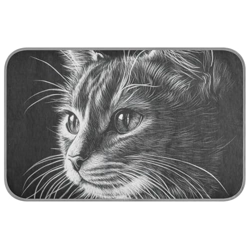 WDdZzyy Black Cat Sommer-Katzenmatte, selbstkühlend, 96,5 x 58,4 cm, Bett für draußen, für Kätzchen, draußen, Cama Fria Para Perro, M WDdZzyy Black Cat Sommer-Katzenmatte, selbstkühlend, 96,5 x 58,4 cm, Bett für draußen, für Kätzchen, draußen, Cama Fria Para Perro, M von WDdZzyy