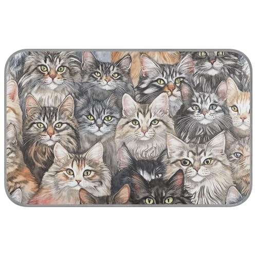 WDdZzyy Cartoon Maine Coonanimals Kühlmatten, selbstkühlende Kühlmatten für den Innenbereich, Katzen, für Kätzchen, draußen, tragbar, Mantas frías para Perros M WDdZzyy Cartoon Maine Coonanimals Kühlmatten, selbstkühlende Kühlmatten für den Innenbereich, Katzen, für Kätzchen, draußen, tragbar, Mantas frías para Perros M von WDdZzyy