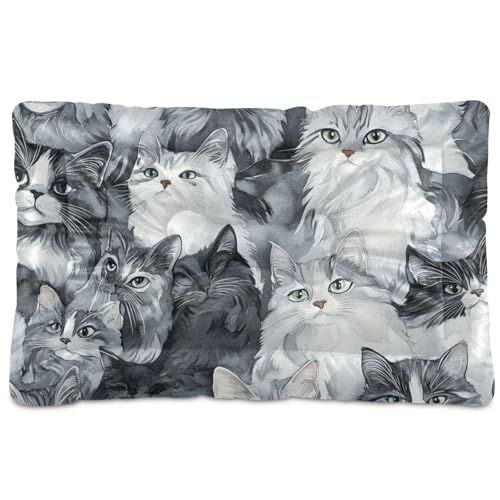 WDdZzyy Cartoon Maine Cooncats Hundehütte, waschbar, weich, bequem, rutschfeste Unterseite, für große, mittelgroße und kleine Hunde, 91,4 x 61 cm, silberfarben von WDdZzyy
