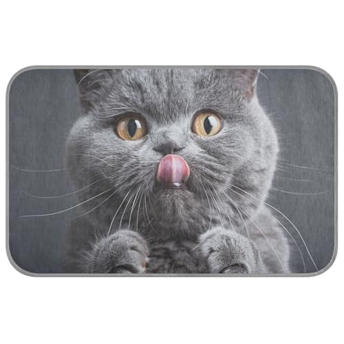 WDdZzyy Graue englische Kurzhaar-Tier-Kühlmatte für Hunde, selbstkühlende Hundematten für Böden, wasserdicht, für Kaninchen, drinnen, sichere Camas Frias para Perros M WDdZzyy Graue englische Kurzhaar-Tier-Kühlmatte für Hunde, selbstkühlende Hundematten für Böden, wasserdicht, für Kaninchen, drinnen, sichere Camas Frias para Perros M von WDdZzyy