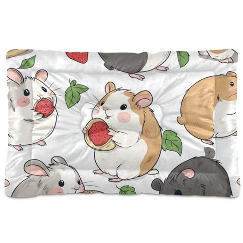 WDdZzyy Hamster isst Futter, niedlich, waschbar, rutschfest, weich, bequem, für mittelgroße und große Hunde, 91,4 x 61 cm WDdZzyy Hamster isst Futter, niedlich, waschbar, rutschfest, weich, bequem, für mittelgroße und große Hunde, 91,4 x 61 cm von WDdZzyy