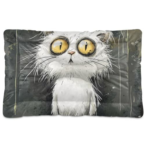 WDdZzyy Haustierbett mit Cartoon-Katze, waschbar, weich, rutschfest, für große, mittelgroße und kleine Hunde, 91,4 x 61 cm, Grau von WDdZzyy