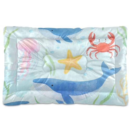 WDdZzyy Hundebett, Motiv: niedlicher blauer Wal, waschbar, rutschfest, weich, bequem, für große, mittelgroße und kleine Hunde, 91,4 x 61 cm WDdZzyy Hundebett, Motiv: niedlicher blauer Wal, waschbar, rutschfest, weich, bequem, für große, mittelgroße und kleine Hunde, 91,4 x 61 cm von WDdZzyy