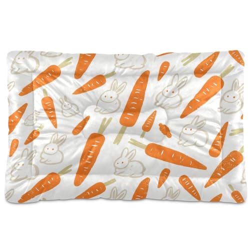 WDdZzyy Hundebett, Motiv: niedlicher weißer Hase und Karotte, waschbar, weich, bequem, rutschfeste Unterseite, für große, mittelgroße und kleine Hunde, 91,4 x 61 cm von WDdZzyy