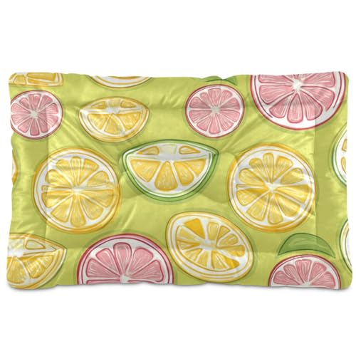 WDdZzyy Hundebett, waschbar, weich, bequem, rutschfeste Unterseite, für mittelgroße und große Hunde, 91,4 x 61 cm, Grün / Zitronenfrucht WDdZzyy Hundebett, waschbar, weich, bequem, rutschfeste Unterseite, für mittelgroße und große Hunde, 91,4 x 61 cm, Grün / Zitronenfrucht von WDdZzyy