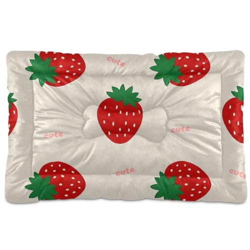 WDdZzyy Hundebett, waschbar, weich, rutschfest, für große, mittelgroße und kleine Hunde, 91,4 x 61 cm, Erdbeerbeige WDdZzyy Hundebett, waschbar, weich, rutschfest, für große, mittelgroße und kleine Hunde, 91,4 x 61 cm, Erdbeerbeige von WDdZzyy