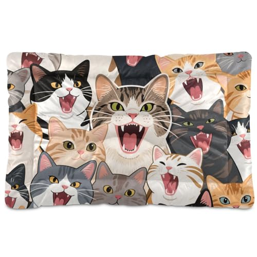 WDdZzyy Hundebett, waschbar, weich, rutschfest, für große, mittelgroße und kleine Hunde, 91,4 x 61 cm WDdZzyy Hundebett, waschbar, weich, rutschfest, für große, mittelgroße und kleine Hunde, 91,4 x 61 cm von WDdZzyy
