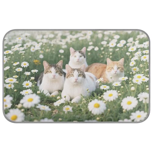 WDdZzyy Hundebett mit Gänseblümchen, selbstkühlend, 96,5 x 58,4 cm, Kühlmatte für draußen, für Kätzchen, Outdoor, weich, Cama Refrescante para perros M WDdZzyy Hundebett mit Gänseblümchen, selbstkühlend, 96,5 x 58,4 cm, Kühlmatte für draußen, für Kätzchen, Outdoor, weich, Cama Refrescante para perros M von WDdZzyy