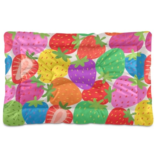 WDdZzyy Hundehütte mit buntem Cartoon-Erdbeermotiv, waschbar, rutschfest, weich, bequem, für große, mittelgroße und kleine Hunde, 91,4 x 61 cm WDdZzyy Hundehütte mit buntem Cartoon-Erdbeermotiv, waschbar, rutschfest, weich, bequem, für große, mittelgroße und kleine Hunde, 91,4 x 61 cm von WDdZzyy